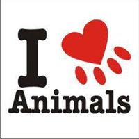 I Love Animals