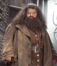 Hagrid, the Type of Guy I&#39;d Have a Butterbeer With