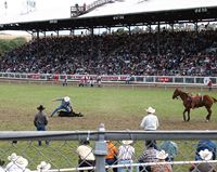 Pendleton Round-Up