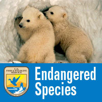 USFWS Endangered Species