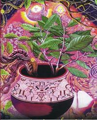 Ayahuasca