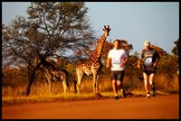 The Big Five Marathon