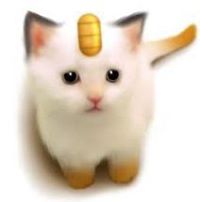 Glueing a Coin to Your Cats Head So People Think You Got a Meowth