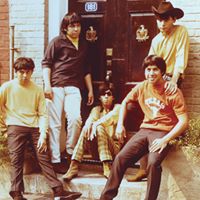 Question Mark and the Mysterians