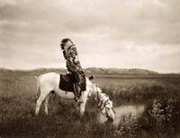 Native Spirit; Native American Quotes to Feed the Spirit