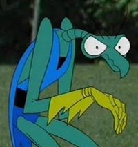 Zorak