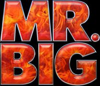 Mr Big