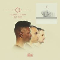 Animals as Leaders