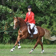 Danish Sport Pony