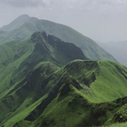 Mount Nimba Strict Nature Reserve