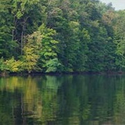 Forked Run State Park, Ohio