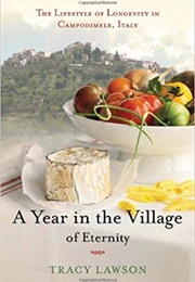 A Year in the Village of Eternity (Tracey Lawson)