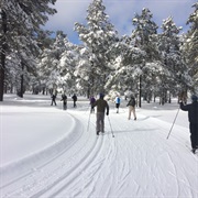 Ski at Arizona Nordic Centre