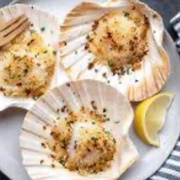 Scallops