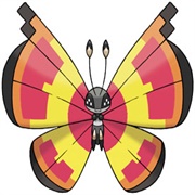 Vivillon (Sun Pattern)