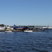 Kenmore Air Harbor Seaplane Base