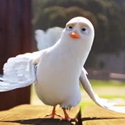 Dave the Dove