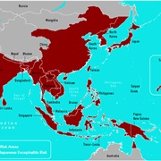 Japanese Encephalitis