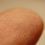 First Fingerprint Department /Recording of Criminals Fingerprints (1901)