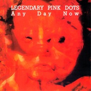 The Legendary Pink Dots - Any Day Now