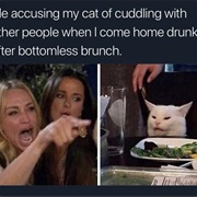 Woman Yelling at Cat