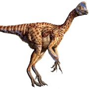 Oviraptor