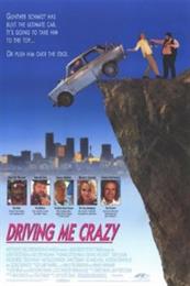 Driving Me Crazy (1991)