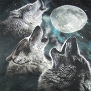 Three Wolf Moon