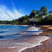 I Want to Go to Hawaii!