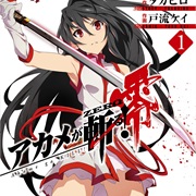 Akame Ga Kill Zero