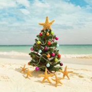 Christmas on the Beach