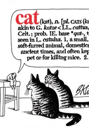 Cat (B. Kliban)