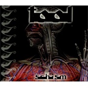 Tool - Schism