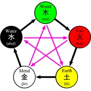 Five Element Theory