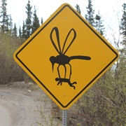 Mosquito Warning