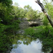 Crawford State Park, Kansas