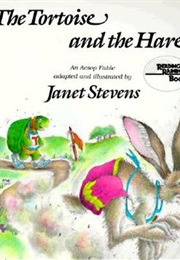 The Tortoise and the Hare: An Aesop Fable (Janet Stevens,  Aesop)