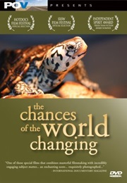 The Chances of the World Changing (2006)