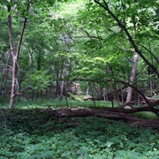 Stone State Park, Iowa