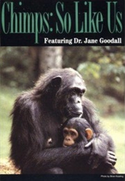 Chimps: So Like Us (1990)