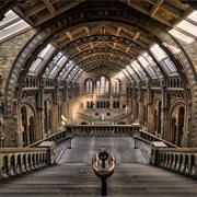 Natural History Museum--London, England--Inside