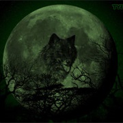 Type O Negative — Wolf Moon (Including Zoanthropic Paranoia)