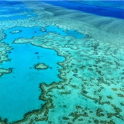 Dive On The Great Barrier Reef