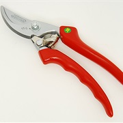 Pruning Scissors