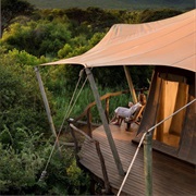 Marataba Safari Lodge, South Africa