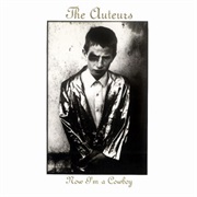 The Auteurs - Now I Am a Cowboy