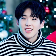 Seventeen Hoshi