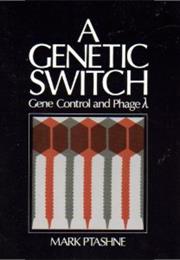 A Genetic Switch