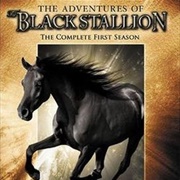 The Adventures of the Black Stallion