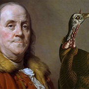 Benjamin Franklin Proposed the Wild Turkey Be Used as the US Symbol